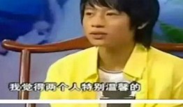 爆料娱乐圈好男人是谁,揭秘那些低调守护幸福的明星们