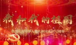 国庆节目爆料视频