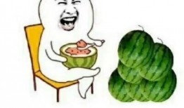 娱乐吃瓜用的音乐,跟随娱乐吃瓜节奏，畅享视听盛宴