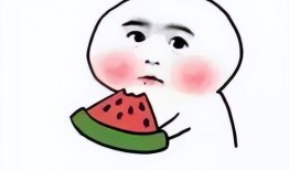 爆料吃瓜搞笑插画视频,揭秘搞笑插画视频背后的爆笑瞬间