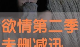 欲情在线观看.,揭秘网络情色内容的诱惑与风险