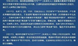 衡水高中爆料案件最新,揭开校园暴力背后的真相