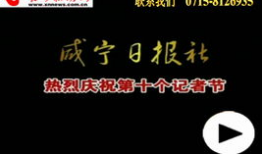 百姓热讯爆料新闻最新,最新爆料新闻聚焦社会热点事件