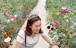 甜甜的娱乐吃瓜,揭秘娱乐圈最新吃瓜大事件